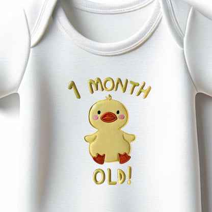 1 Month Birthday Onesie